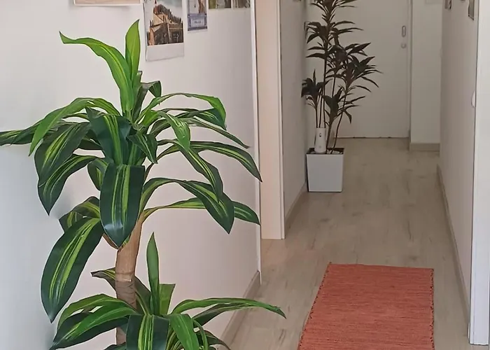 Holidays * נאזרה