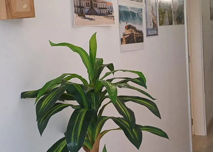 Holidays בית אירוח