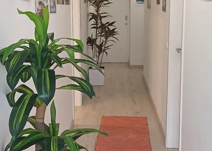 בית אירוח Holidays