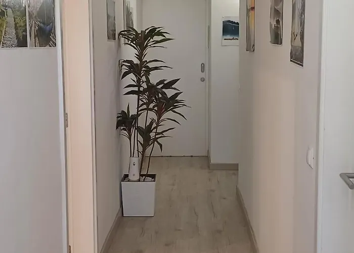 בית אירוח Holidays *