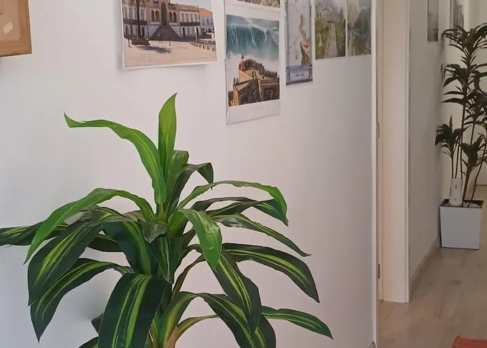 בית אירוח Holidays